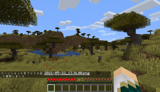 Minecraft　サバンナバイオームのスクリーンショットの画像