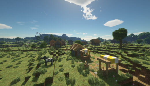 Minecraft　視野角70で撮影した村の画像