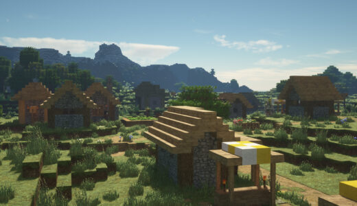 Minecraft　視野角30で撮影した村の画像