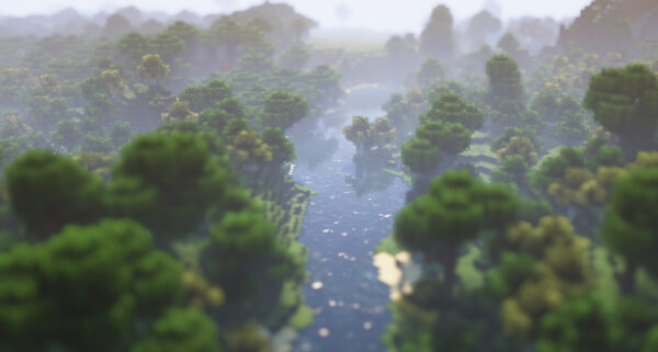 minecraft　森の中の川を上空から撮影した画像