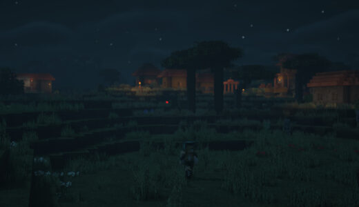 minecraft  夜のサバンナの村周辺を歩くプレイヤースキンの画像