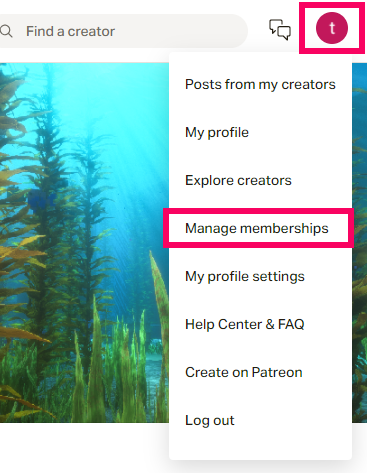 Patrix resourcepacksのPatreonサイトのメンバーシップ管理選択画面の画像