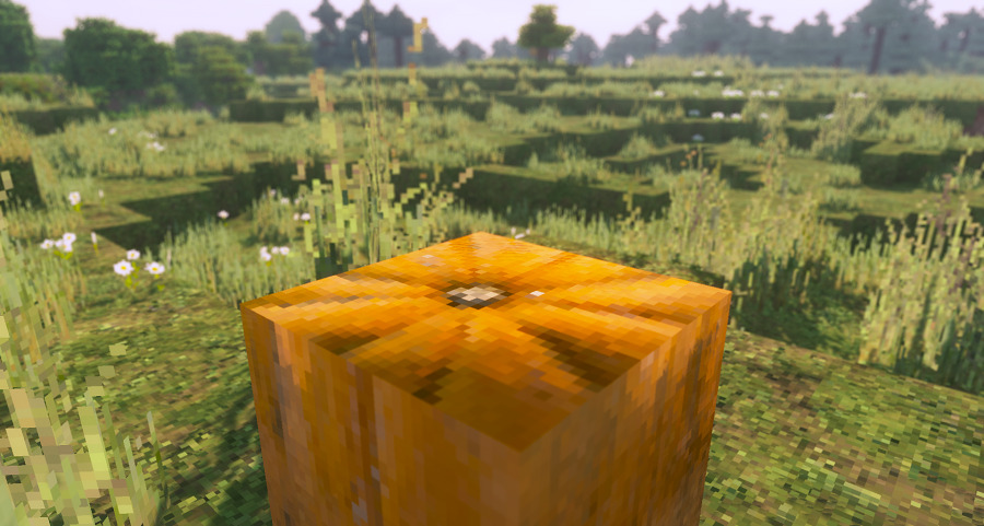 Minecraft　平原にあるかぼちゃの画像